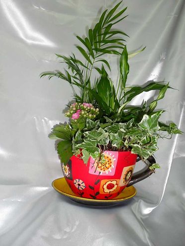 Flores Tiaré planta