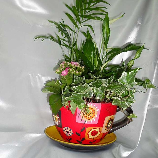 Flores Tiaré planta