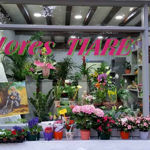 Flores Tiaré instalaciones de floristería 
