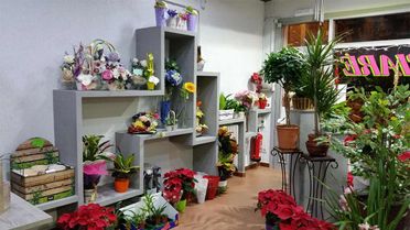 Flores Tiaré instalaciones interiores de floristería 