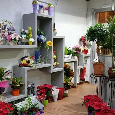 Flores Tiaré instalaciones interiores de floristería 