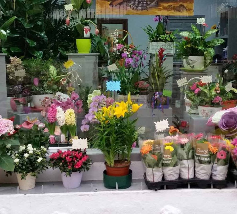 Flores Tiaré flores en exhibición
