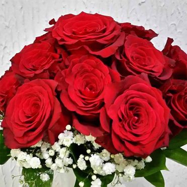 Flores Tiaré rosas de color rojo