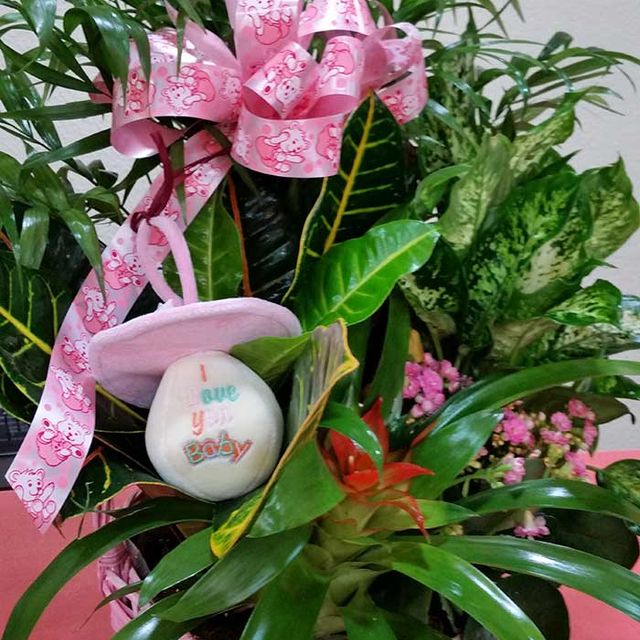 Flores Tiaré flores con moño de regalo 